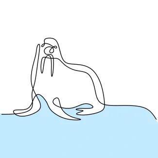 Sea Lion Sea Lion One Line Drawing for Practicing Animal Curves and Shapes