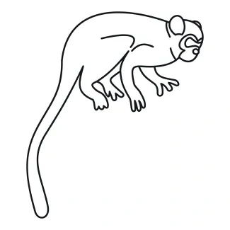 Capuchin Monkey "One-Line Capuchin Monkey Sketch: A Minimalist Approach to Playful and Agile Wildlife Figures"