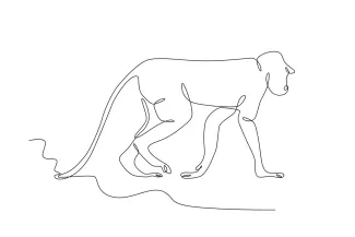 Langur Monkey "Minimalist Langur Monkey Drawing: A One-Line Study of Graceful and Recognizable Wildlife Forms"