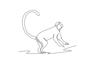Macaque Minimalist One Line Macaque Drawing to Practice Animal Shapes and Proportions