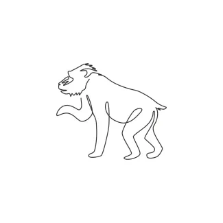 Mandrill Big Primate One Line Mandrill Drawing: A Big Primate Art Activity for Learners