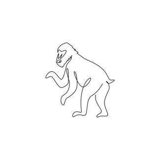 Mandrill Quick Mandrill Drawing in One Line for Animal Sketching Practice