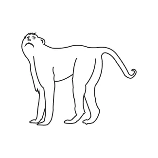 Simple One Line Monkey Drawing for Animal Sketching Exercises