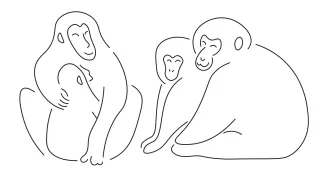 Snow Monkey Family "Minimalist Snow Monkey Family Drawing: A One Line Study of Connection and Wildlife Care"