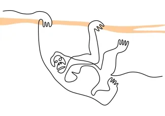 Easy One-Line Drawing of an Orangutan: Practice Jungle Animal Shapes