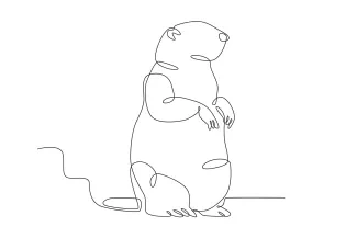 Groundhog Groundhog One Line Drawing: Learn to Sketch a Digging Animal Simply