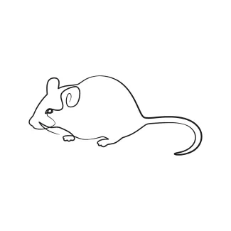 "Continuous Line Mouse Art: Capturing a Lively Rodent’s Movement with Simplicity"