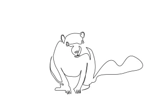 Squirrel Squirrel in Simple Line Art: Easy and Cute Drawing for All Ages