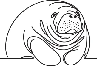 Manatee "Minimalist Manatee Illustration: A One Line Study of Gentle and Peaceful Marine Creatures"