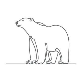 Simple Polar Bear Drawing: Explore Wildlife Art with One Line