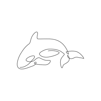 Orca "One Line Orca Sketch: Illustrating a Powerful Ocean Predator with Minimalist Techniques"