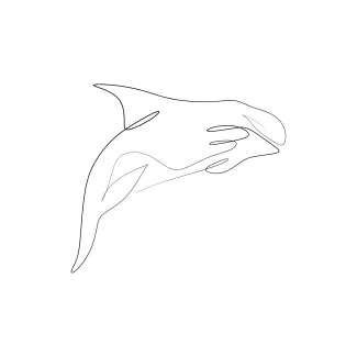 Orca Orca One Line Drawing: Draw a Bold Sea Predator Easily