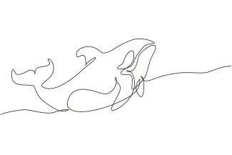 Whale Killer "One Line Wild Whale Drawing: Capturing Grace and Power with Minimalist Art"