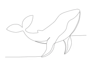 Orca Whale One Line Drawing: Sea Life Sketch with Powerful Curves