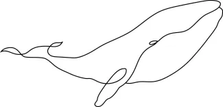 Whale Whale One Line Drawing: Easy and Calm Ocean Art for Beginners