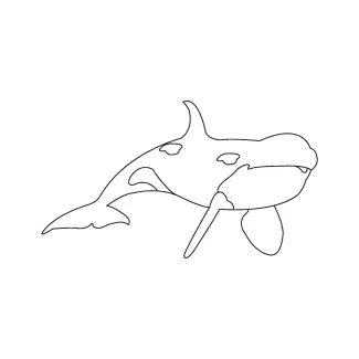 Orca Whale One Line Art: Powerful Marine Animal in Simple Form