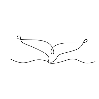 Whale's Tail "One Line Whale Tail Illustration: Expressing Oceanic Beauty with Minimalist Techniques"
