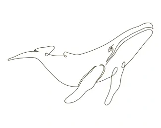 Wild Whale "One Line Killer Whale Drawing: Expressing Strength and Fluidity with Minimalist Techniques"