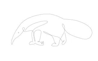 Anteater "One Line Anteater Art: A Minimalist Study of Unique and Recognizable Wildlife Figures"