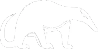 Anteater "Minimalist Anteater Illustration: A One Line Study of Distinct Wildlife Shapes"
