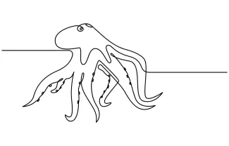 Creative One-Line Octopus Drawing for Exploring Radial Symmetry in Art