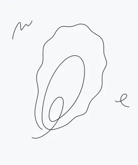 One-Line Oyster Drawing for Simple Outer Shapes and Layer Practice