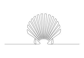 Open oyster shell seashell Learn One-Line Open Oyster Shell Drawing for Organic Shape Observation
