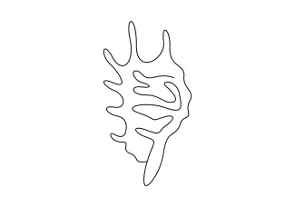 Draw a Seashell in One Line for Simple Repetition and Line Study