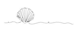 One-Line Seashell Drawing for Repetition and Visual Pattern Study