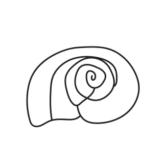 Beginner Seashell One-Line Drawing for Shape Repetition Practice
