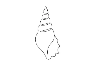 Easy One-Line Seashell Drawing for Learning Basic Shape Curves