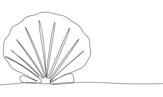 Easy One-Line Seashell Drawing to Study Gentle Shape Transitions