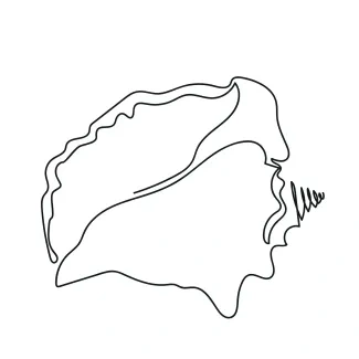Draw a Seashell in One Line to Build Confidence with Repeating Shapes