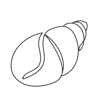 One-Line Seashell Drawing for Practicing Curve Direction Awareness