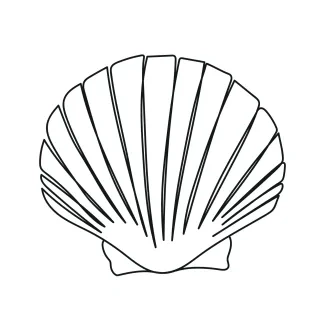 Seashell One-Line Seashell Drawing for Practicing Repetition and Symmetry