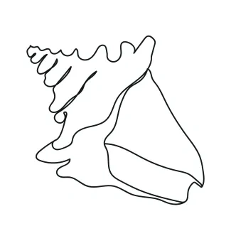 Seashell Learn to Draw a Seashell in One Line for Focused Art Practice