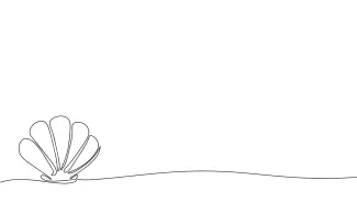 Shell One-Line Shell Drawing for Simple Nature-Inspired Art Projects
