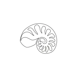 Sea snail shell Sea Snail Shell in One Line: A Simple Drawing to Practice Spiral Forms