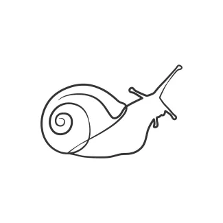 Snail Learn Natural Forms with One-Line Snail Drawing