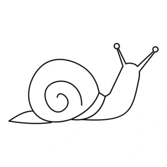 Snail One-Line Snail Drawing for Beginners: Practice Curves and Proportions