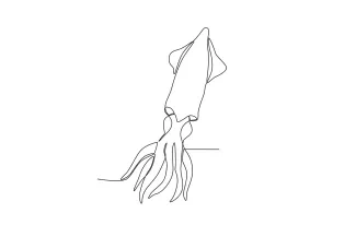 Squid in the sea One-Line Sea Squid Drawing to Learn Composition in Ocean Scenes