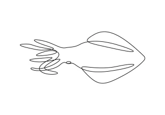 One-Line Squid Drawing for Developing Line Continuity and Shape Logic