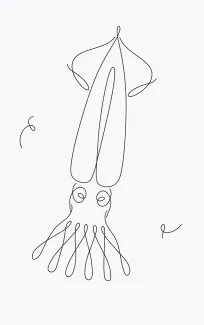 Draw a Squid in One Line to Practice Proportion and Tentacle Extension