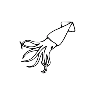 One-Line Squid Drawing for Practicing Body Shape and Arm Extension