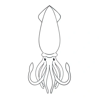 Squid Simple Squid One-Line Drawing for Practicing Line Flow and Tentacle Layout