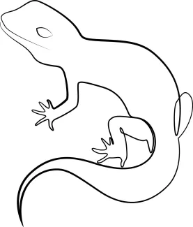 One-Line Chameleon Drawing: Explore Reptile Shapes with Simple Lines