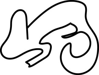 Chameleon One Line Chameleon Drawing: Explore Tree Reptiles with Easy Line Art