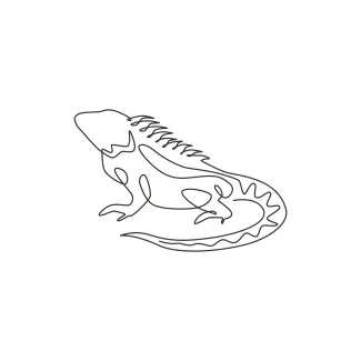 Beautiful iguana Drawing a Beautiful Iguana in One Line – Easy Art for Reptile Lovers