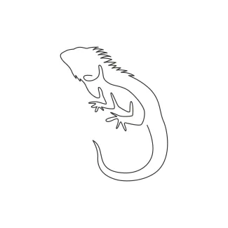 Exotic iguana Exotic Iguana One Line Drawing for Simple Reptile Study