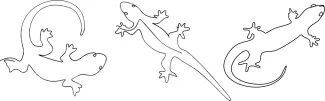 Three Lizards One-Line Lizard Trio Drawing: Easy Reptile Sketching with Repeated Shapes